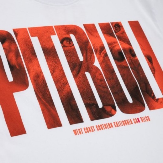 Koszulka PIT BULL "Orange dog" - biała