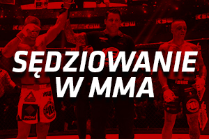 Sędziowanie w MMA 