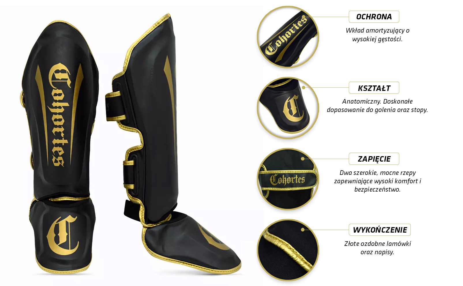 Cohortes_Infografika_1.JPG (501 KB)