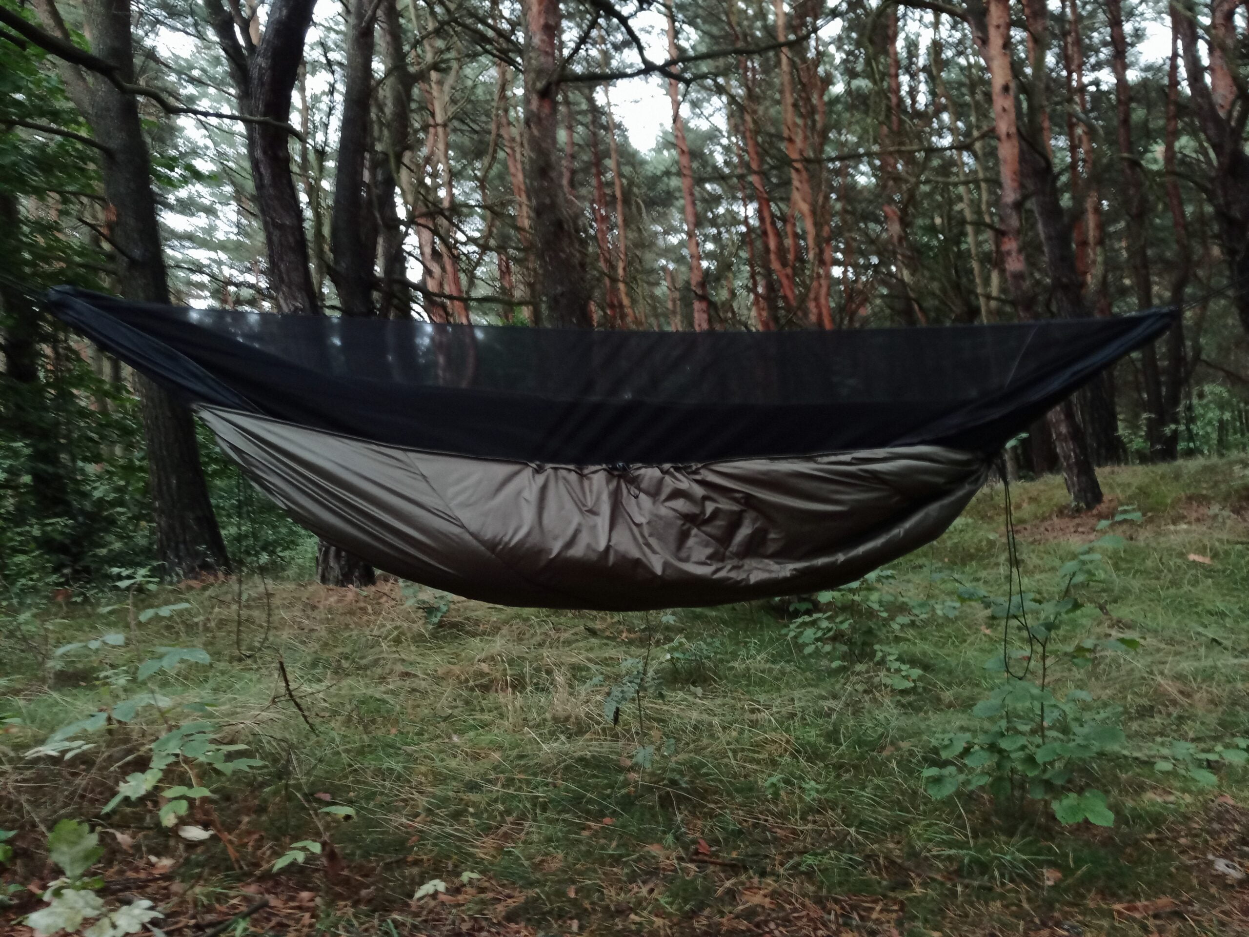 IMG_20220915_1720222-scaled.jpg (790 KB)