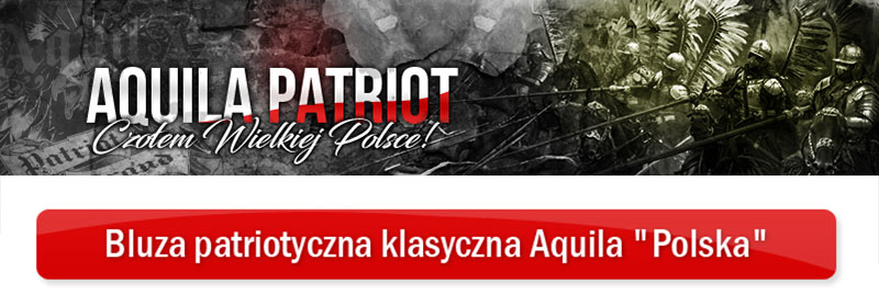 Classic-black-patriotic-sweatshirt-stripes-Aquila-Polska_01.jpg (65 KB)