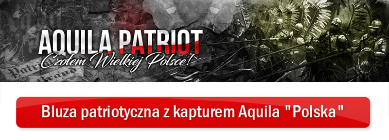Gray-striped-patriotic-sweatshirt-hoodie-Aquila-Poland_01r.jpg (68 KB)