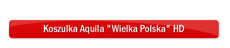 Koszulka-Aquila-Wielka-Polska-HD_01.jpg (18 KB)