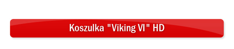 Koszulka-Viking-VI-HD_01.jpg (14 KB)