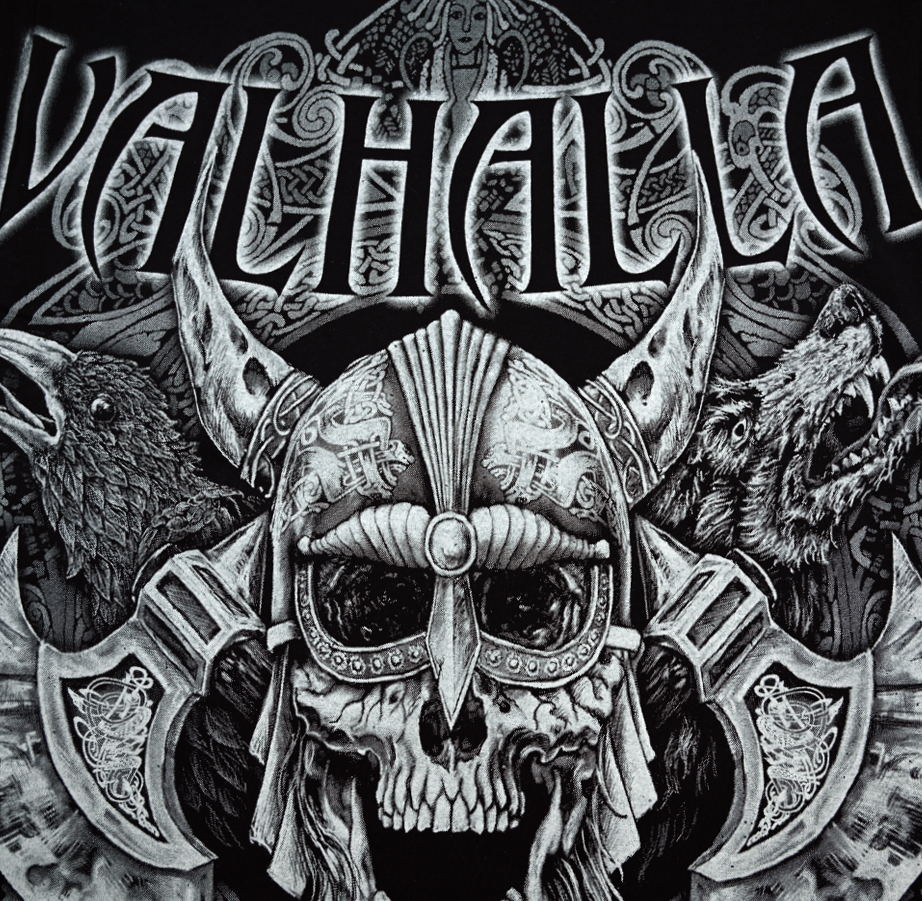 T-shirt “Viking - Norsemen” HD - FighterShop