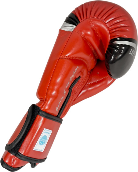 MASTERS RPU-FT Boxing Gloves (WAKO APPROVED) - Red