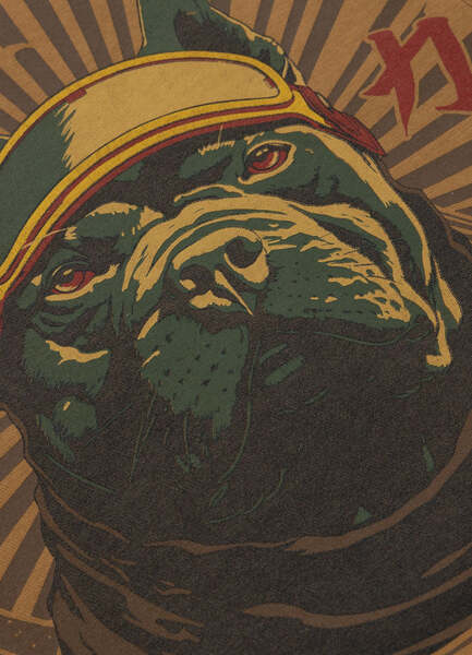 Bluza męska rozpinana z kapturem washed PIT BULL "MT FUJI" - miodowy