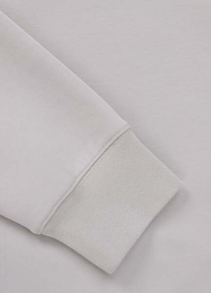 Bluza męska PIT BULL "DOGWOOD" - białawy niebieski