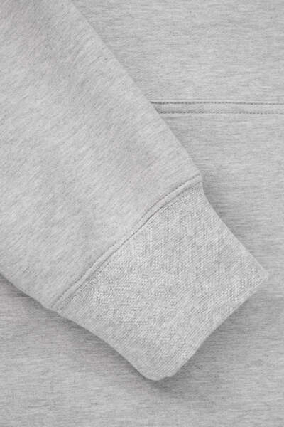 Bluza z kapturem PIT BULL "SMALL LOGO NUGGET" - szary