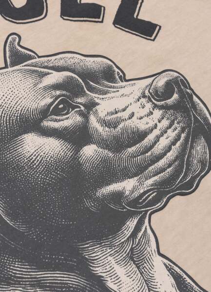 PIT BULL Denim Washed Raw Men&#39;s T-Shirt &quot;PACIFIC&quot; - Light Sand