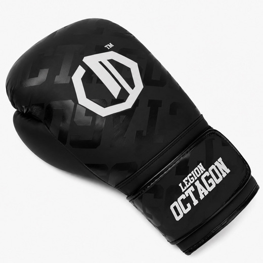 Legion Octagon Eclipse Boxing Gloves black/silver