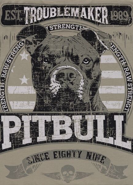 Koszulka PIT BULL "TROUBLEMAKER" - szary oliwkowy
