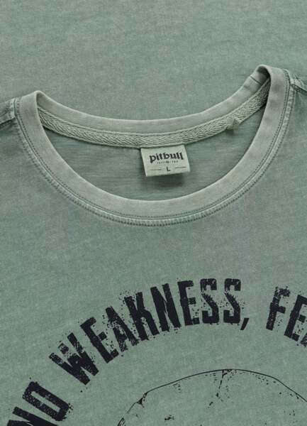 Washed PIT BULL "FEAR NO PAIN" T-shirt - green