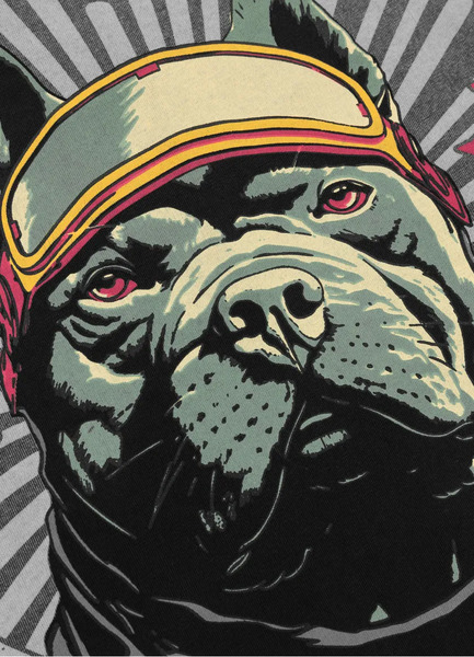 Koszulka męska PIT BULL Denim Washed "MT. FUJI" - szary