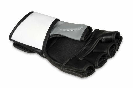 Bushido ARM-2023 MMA gloves