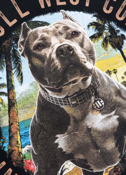 PIT BULL "BEACH BOY" men's t-shirt - black