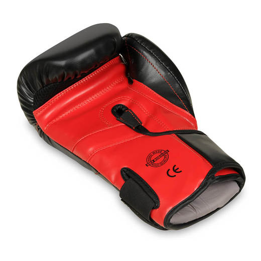 Bushido boxing gloves - B-2v15