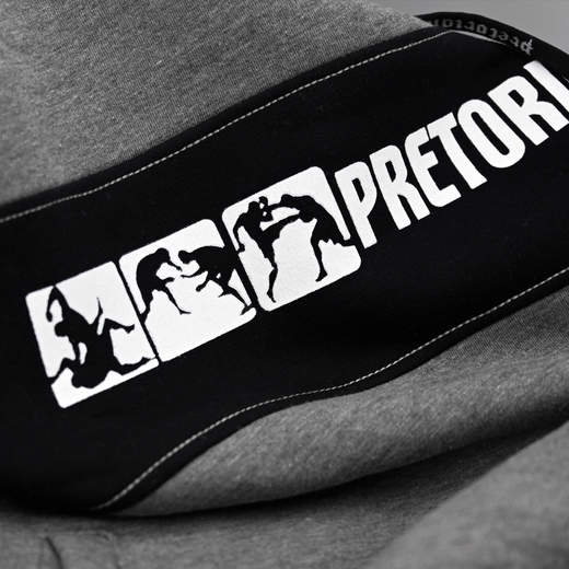 Hoodie Pretorian "Fight Division" - grey