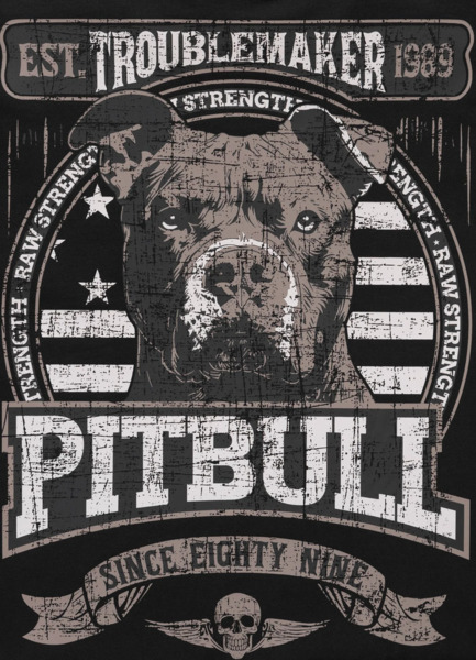 Bluza męska PIT BULL "TROUBLEMAKER" - czarny