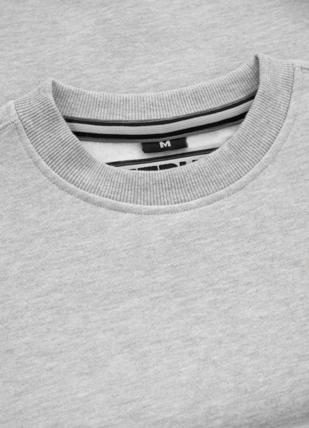 PIT BULL &quot;Small Logo&quot; &#39;22 sweatshirt - gray