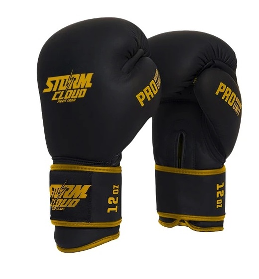 StormCloud "Boxing Pro" boxing gloves - black / gold