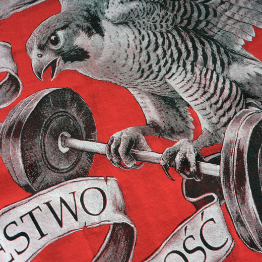 Koszulka Aquila "Sokół"