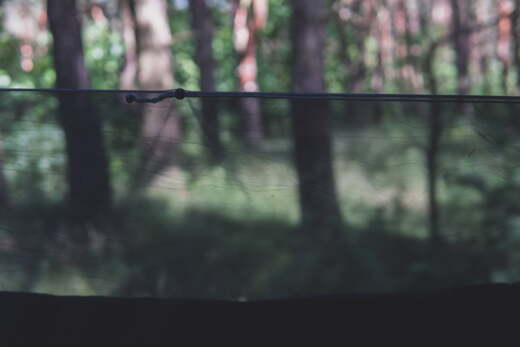 Hamak TIGERWOOD Obozowy Niedźwiedź XL z Moskitierą Black