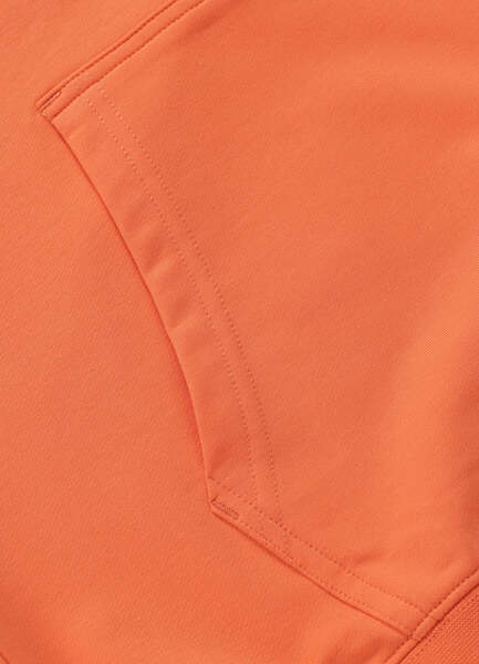 Bluza z kapturem PIT BULL "BLOODLINE II" - pomarańczowy