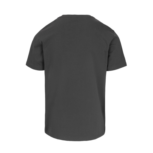 PIT BULL "NORTON" T-shirt - graphite