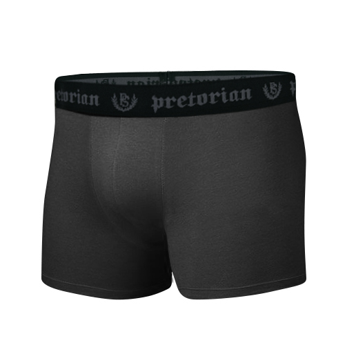 Pretorian boxer shorts set of 3 pieces - gray / graphite / navy blue