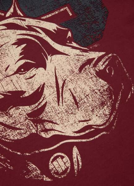 Koszulka PIT BULL "DOG 89" - burgundowa