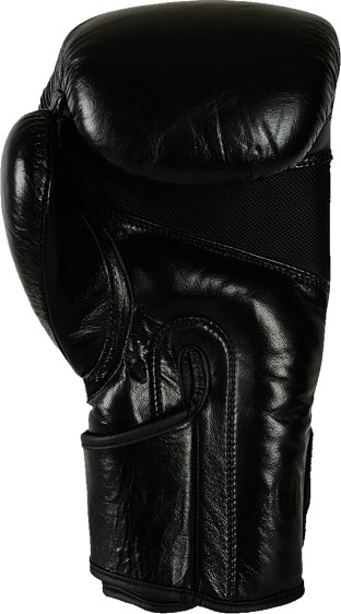 Masters RBT-GLADIATOR Leather Boxing Gloves - 14oz
