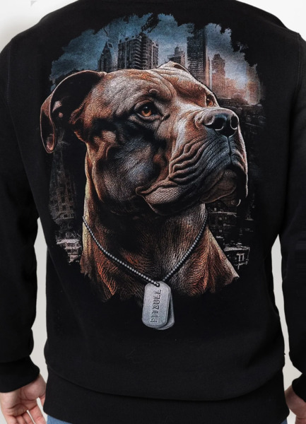 Bluza męska z kapturem PIT BULL "HERO" - czarny