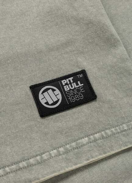 PIT BULL Washed JIU-JITSU FIGHT DVSN T-shirt - green