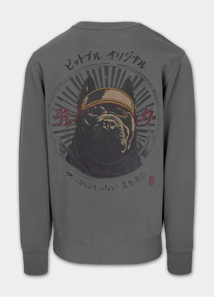 Bluza męska PIT BULL Washed "MT FUJI" - szara