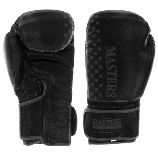 MASTERS RPU-GLOSS boxing gloves