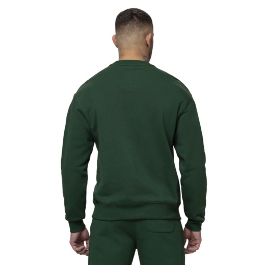 Bluza PIT BULL "BADGER" - zielony