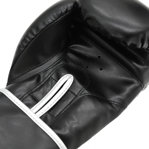 Boxing gloves Cohortes &quot;Aurgentum Cohort&quot;- black/silver