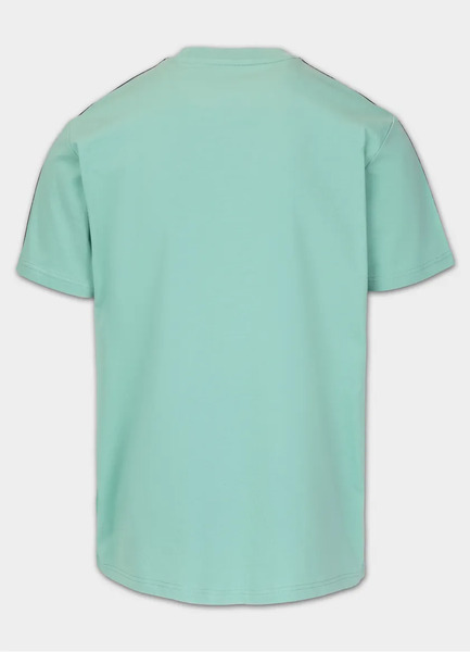 Koszulka męska PIT BULL "TAPE NUGGET" - miętowa