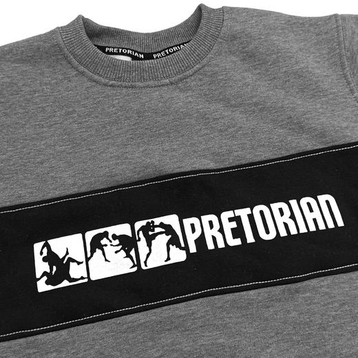 Sweatshirt Pretorian "Fight Division" - grey
