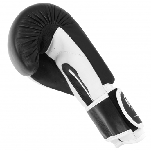 Boxing gloves MASTERS RPU-TR