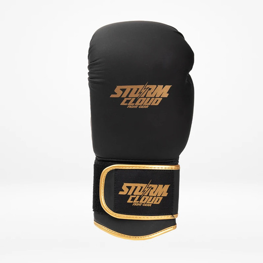 StormCloud "Boxing Pro" boxing gloves - black / gold