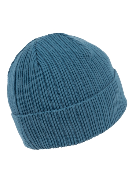 Winter hat PIT BULL "Silvas '21" - blue