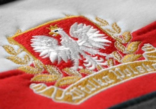  Bluza patriotyczna klasyczna szara pasy Aquila "Polska" 