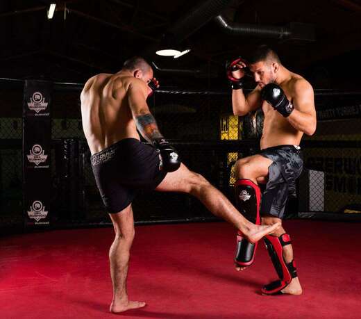 MMA training gloves Bushido &quot;Krav Maga&quot; ARM-2011