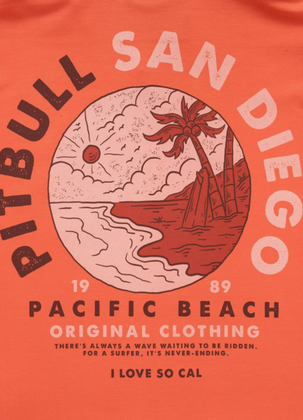 Bluza męska z kapturem PIT BULL "PLANET SURF" - łososiowy