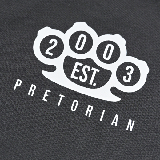 Hoodie Pretorian  "Public Enemy" - grey