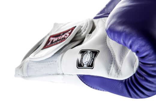  TWINS SPECIAL BGVL-6 BOXING GLOVES (violet/white palm) 