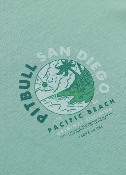 Koszulka damska Oversize PIT BULL "PLANET SURF" - miętowy