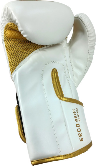 MASTERS RPU-ANGEL boxing gloves 